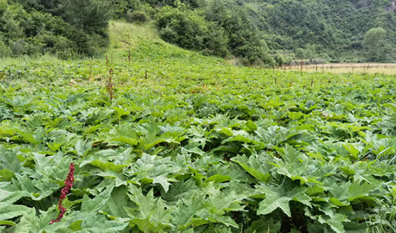 海洋之神·hy590(中国)最新官方网站