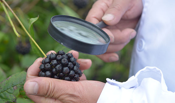 海洋之神·hy590(中国)最新官方网站