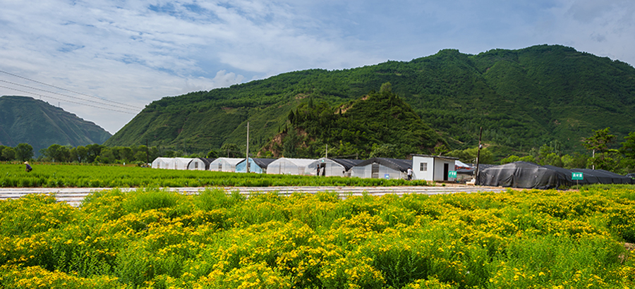 海洋之神·hy590(中国)最新官方网站